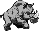 RHINO 
